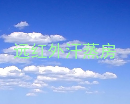 远红外汗蒸房