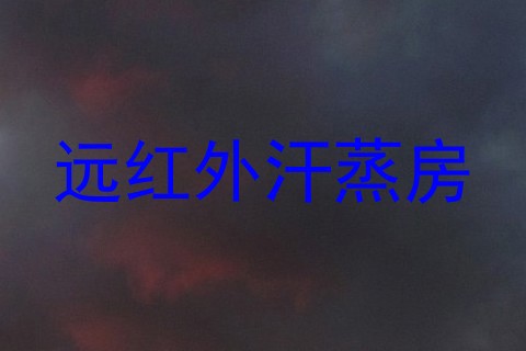 远红外汗蒸房
