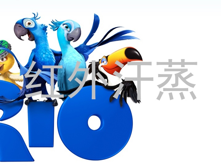 红外汗蒸