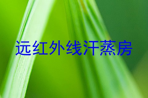 远红外线汗蒸房