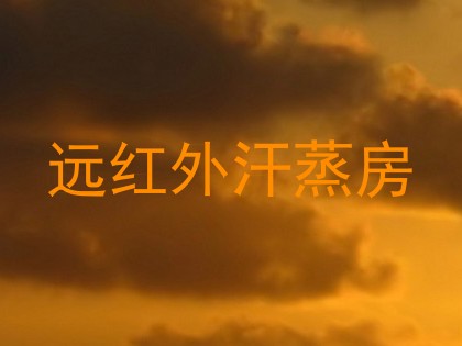 远红外汗蒸房