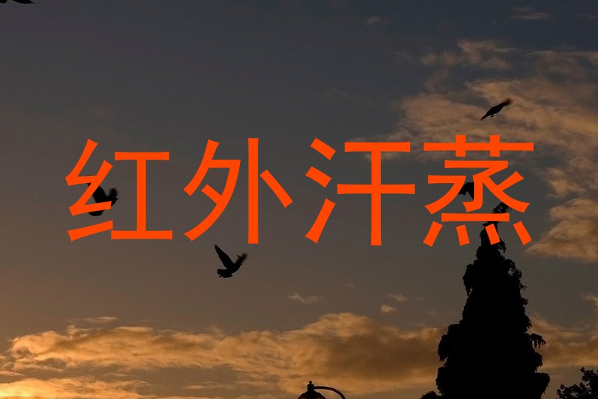 红外汗蒸
