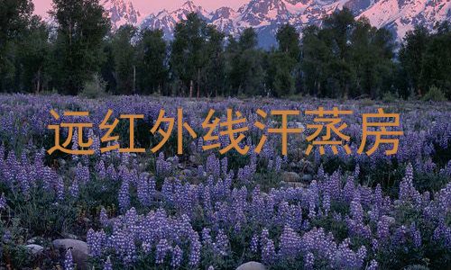 远红外线汗蒸房