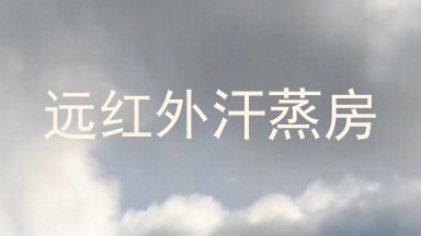远红外汗蒸房