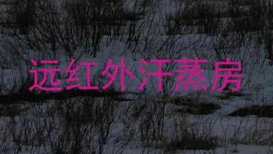 远红外汗蒸房