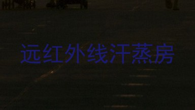 远红外线汗蒸房