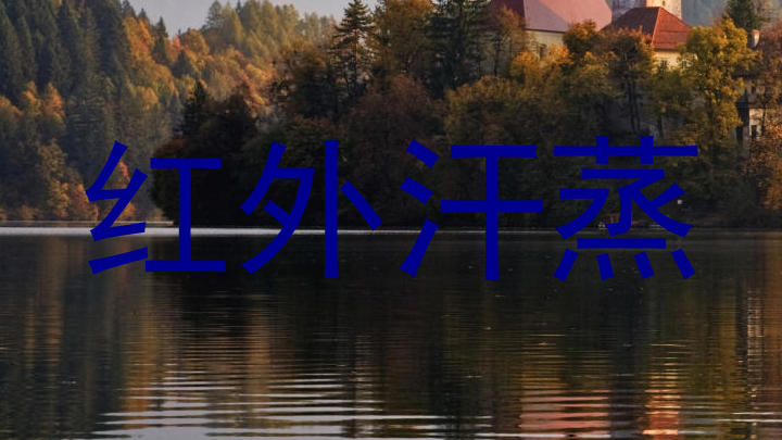 红外汗蒸
