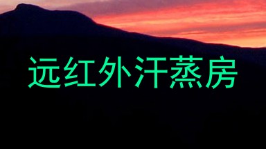 远红外汗蒸房