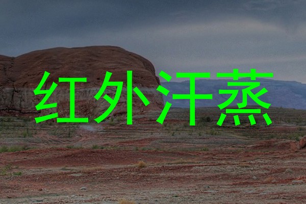 红外汗蒸