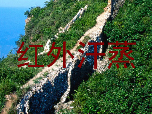 红外汗蒸