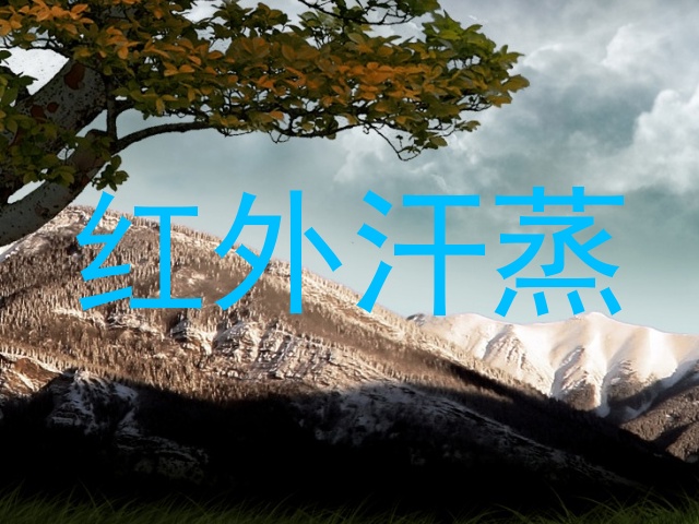 红外汗蒸