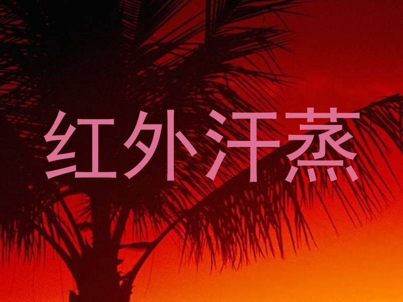 红外汗蒸