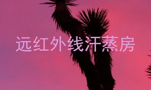 远红外线汗蒸房