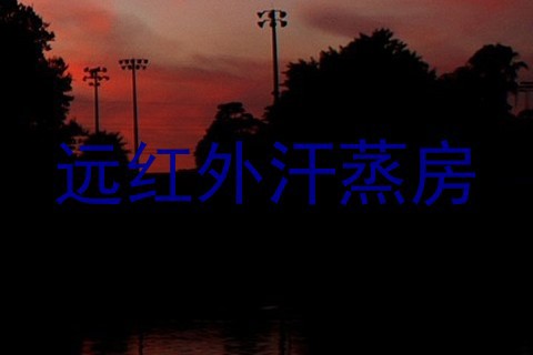 远红外汗蒸房