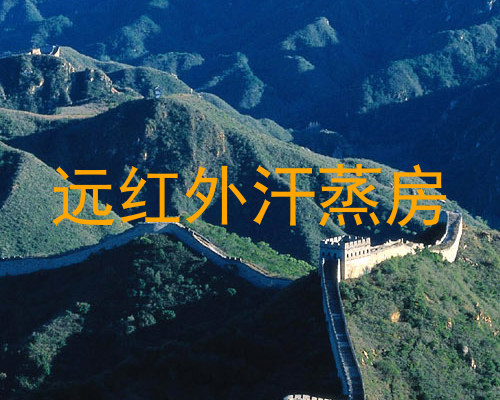 远红外汗蒸房