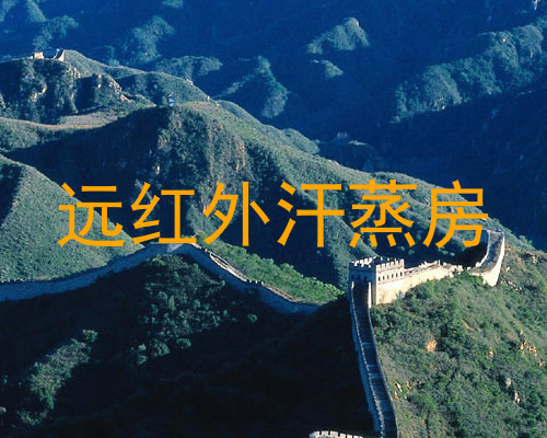 远红外汗蒸房
