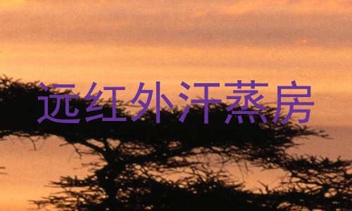 远红外汗蒸房