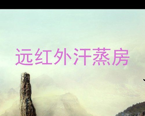 远红外汗蒸房