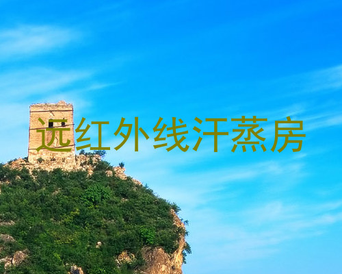 远红外线汗蒸房