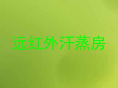 远红外汗蒸房