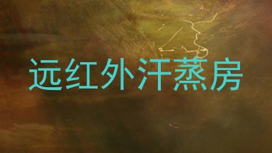 远红外汗蒸房