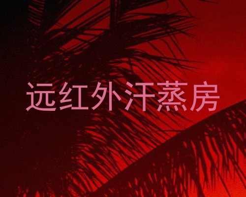 远红外汗蒸房