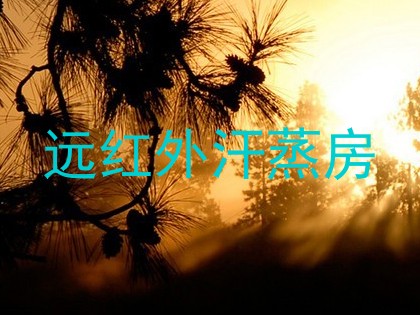 远红外汗蒸房