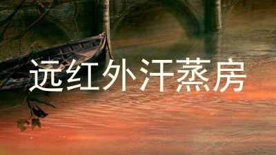 远红外汗蒸房