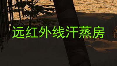 远红外线汗蒸房