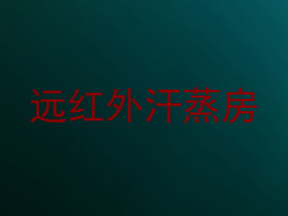 远红外汗蒸房