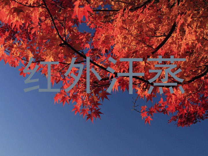 红外汗蒸