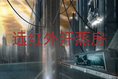 远红外汗蒸房