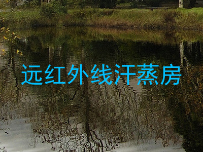 远红外线汗蒸房