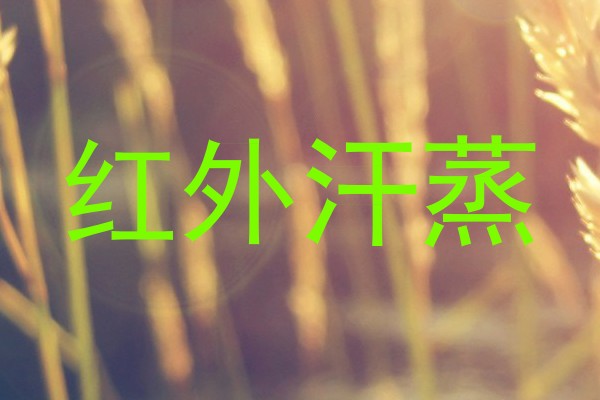 红外汗蒸