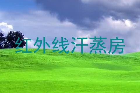 红外线汗蒸房