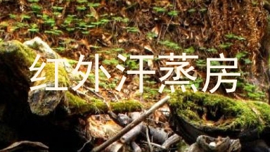 红外汗蒸房