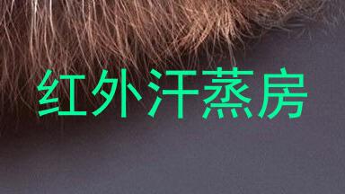 红外汗蒸房