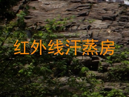 红外线汗蒸房