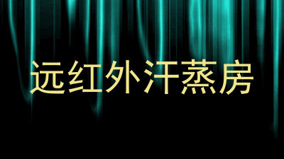 远红外汗蒸房