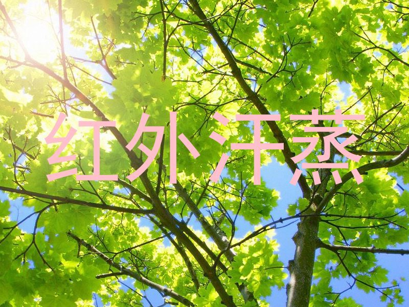 红外汗蒸