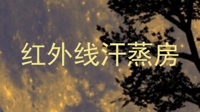 红外线汗蒸房