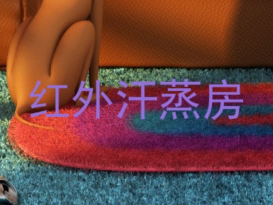红外汗蒸房