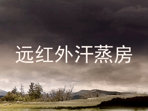 远红外汗蒸房