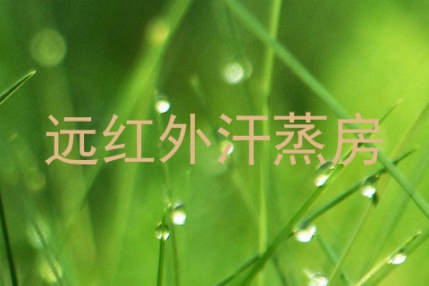 远红外汗蒸房
