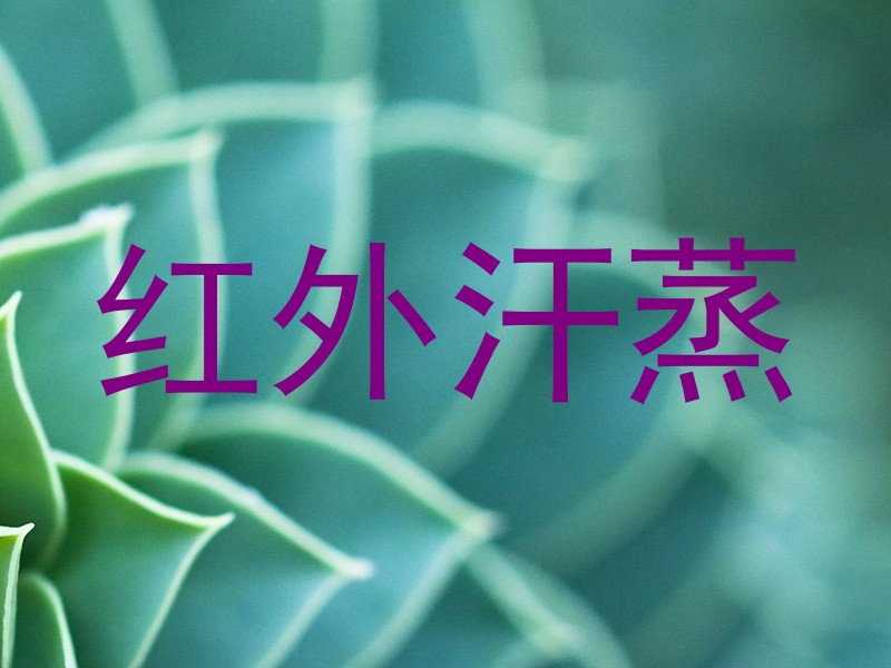 红外汗蒸