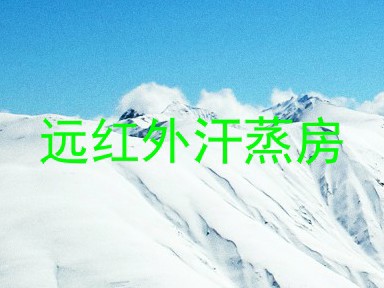 远红外汗蒸房