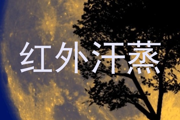 红外汗蒸