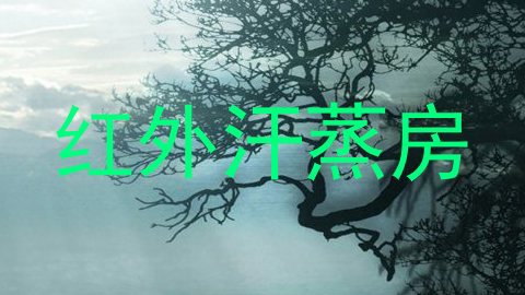 红外汗蒸房