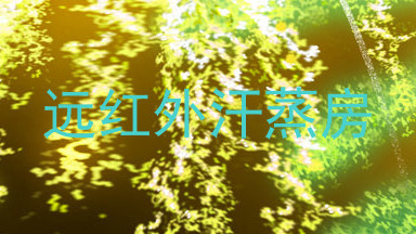 远红外汗蒸房