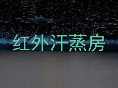 红外汗蒸房